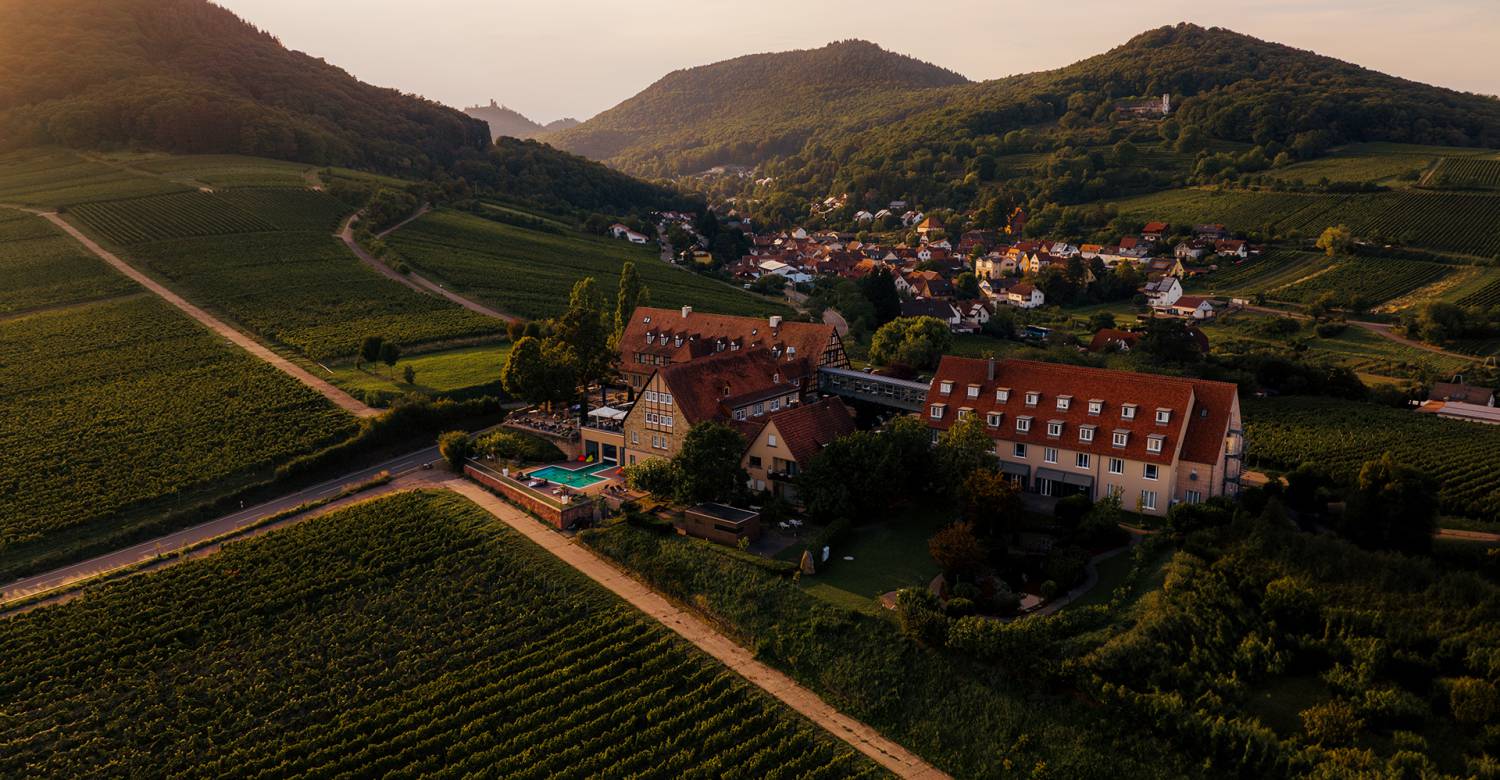 Hotel Leinsweiler Hof panorama