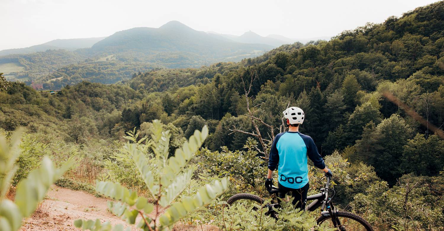 Mountainbiking at the palatinate