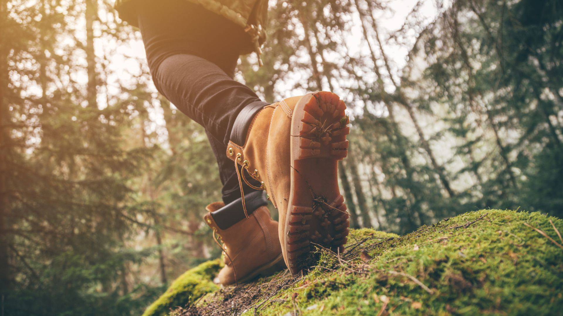 Hiking in the palatinate