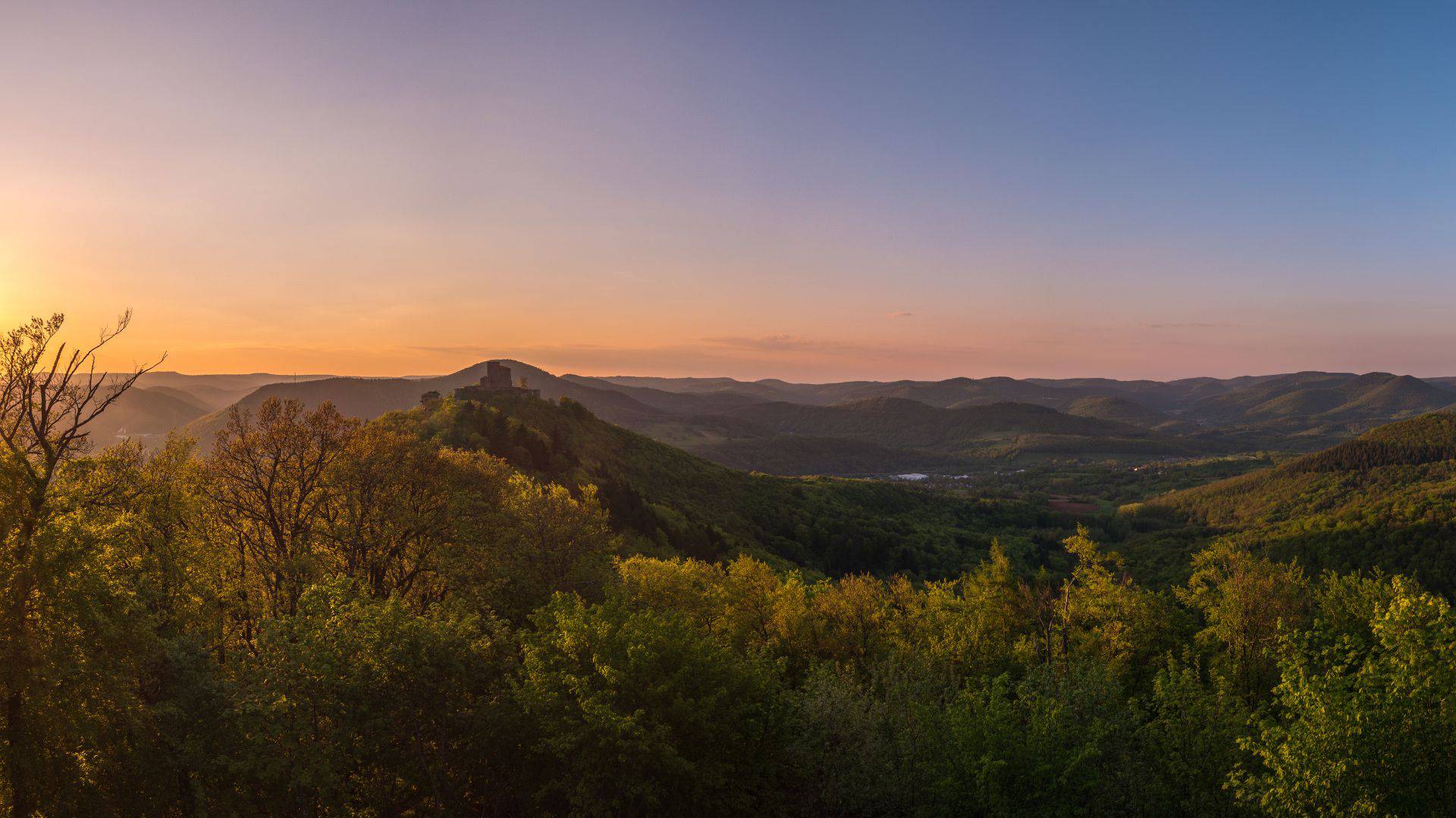 Palatinate panorama