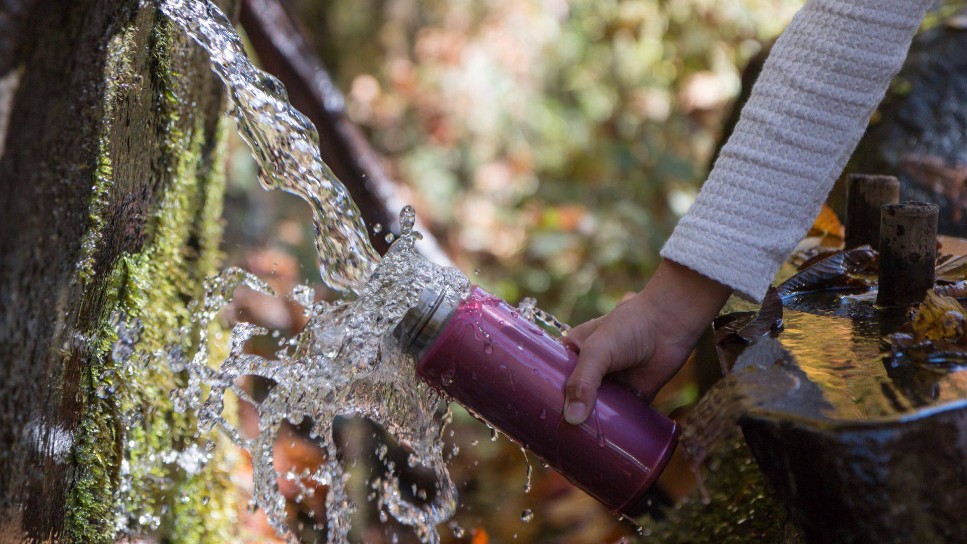 Hiking bottle with water