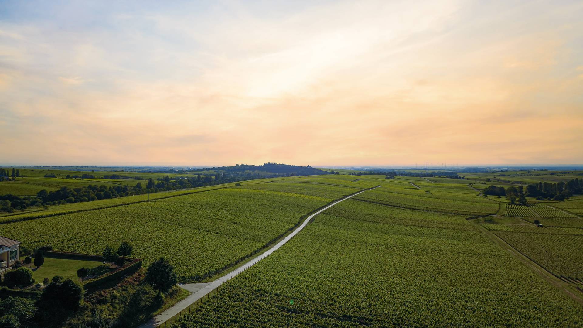 The palatinate Leinsweiler Hof panorama