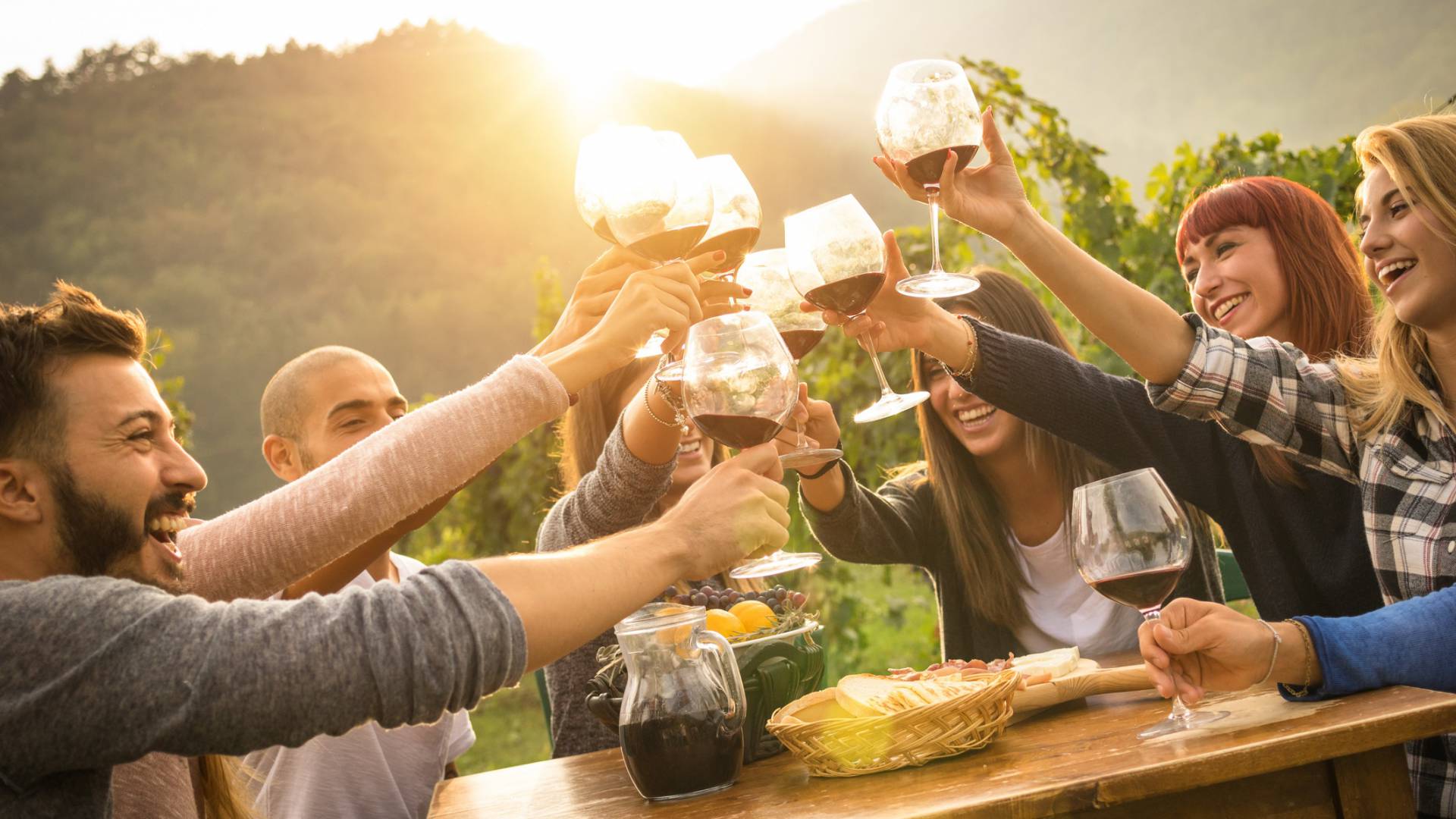 Friends toasting with wine