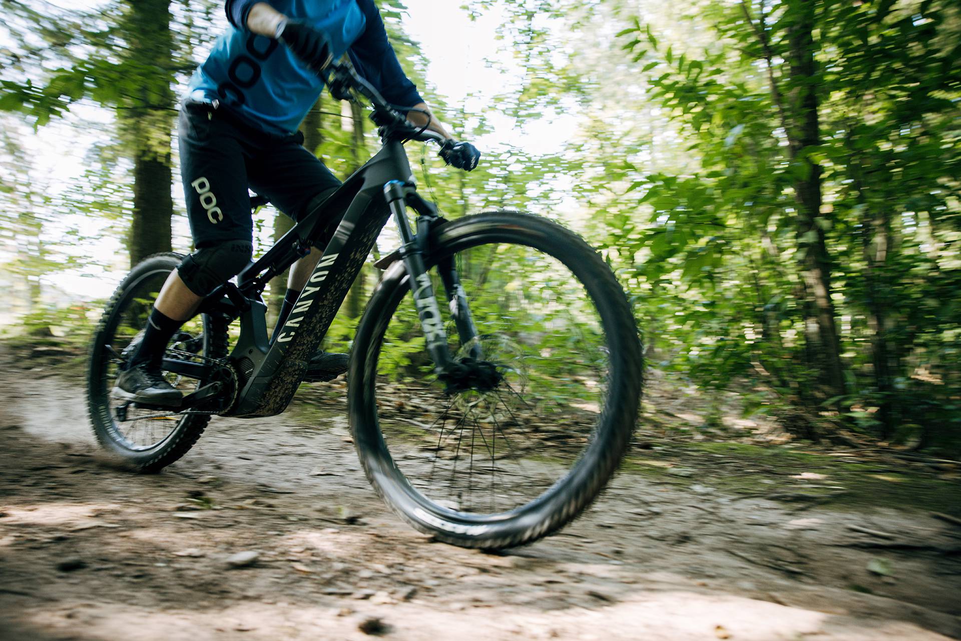 Mountainbiking in the palatinate