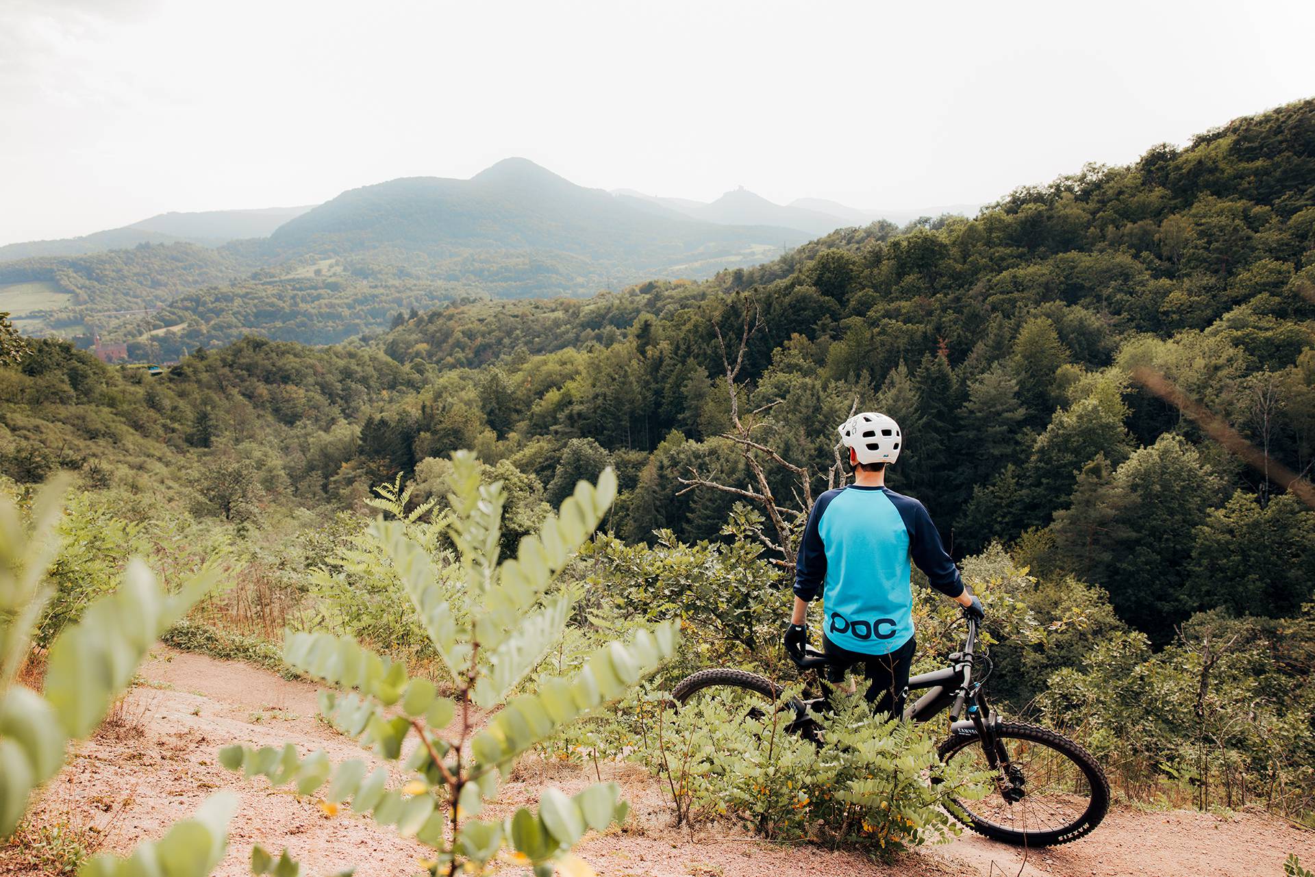 Active vacation in the Palatinate: Hiking, biking, discovering - Leinsweiler Hof