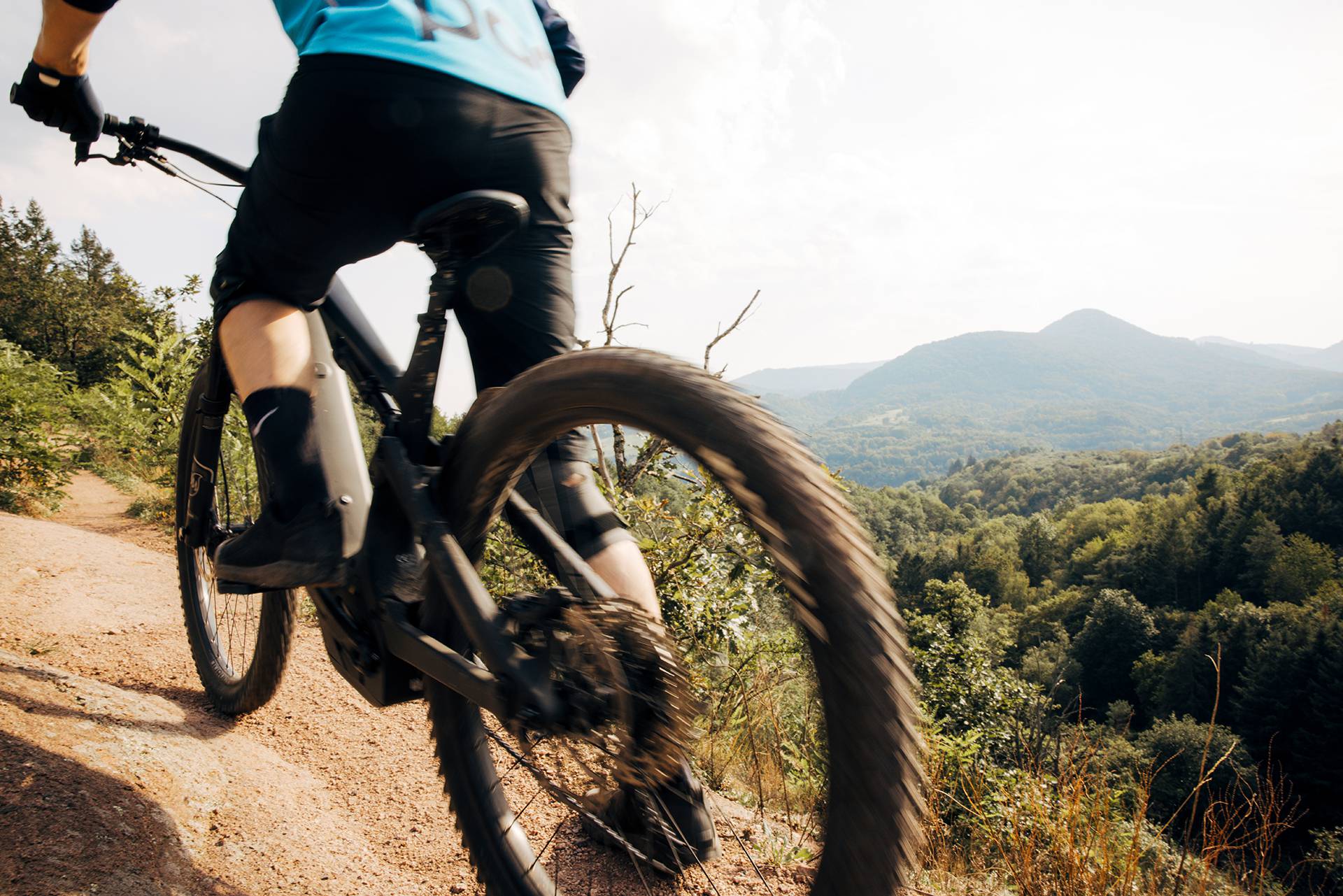 Mountainbiking in the Palatinate