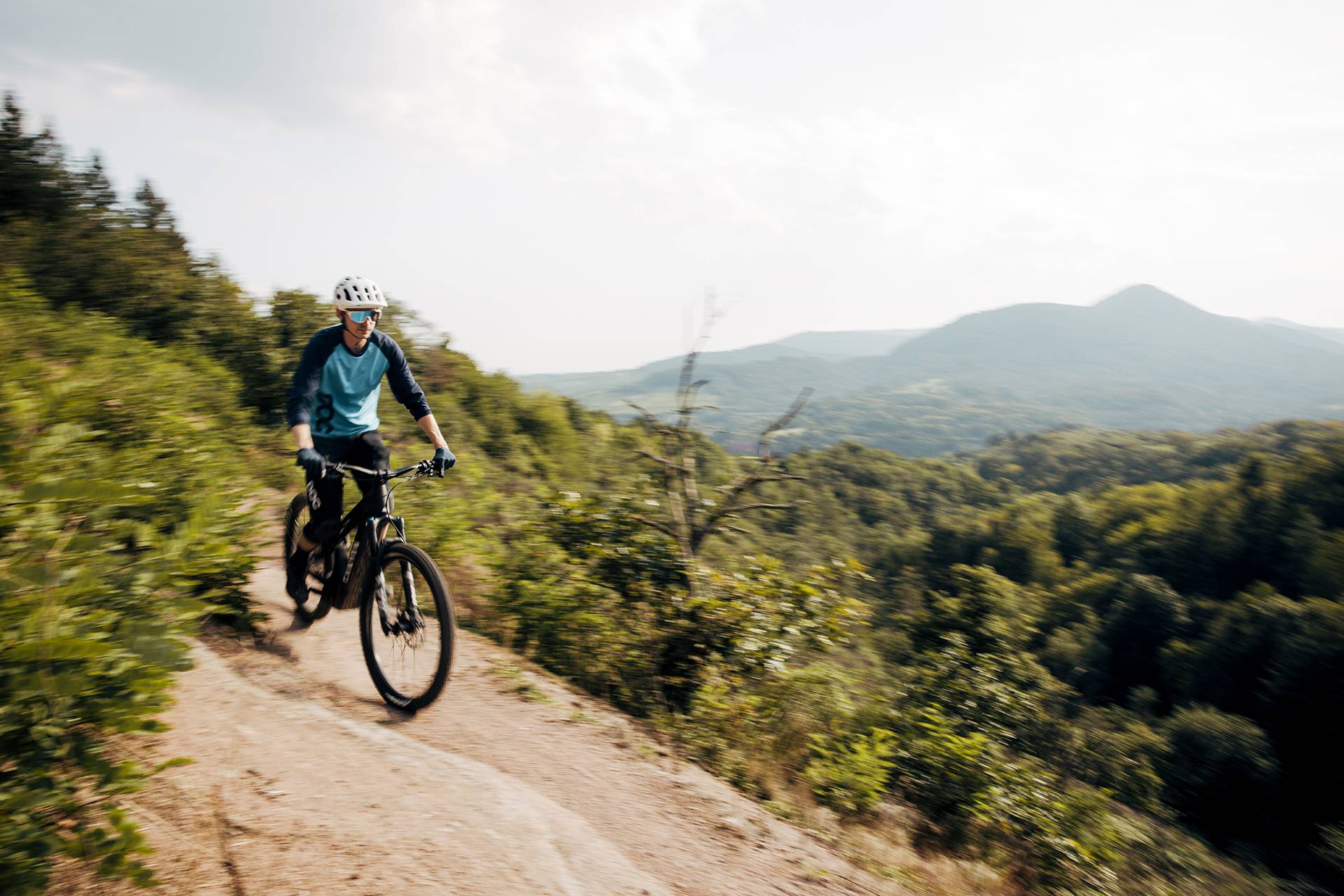 Mountainbiking at the Palatinate