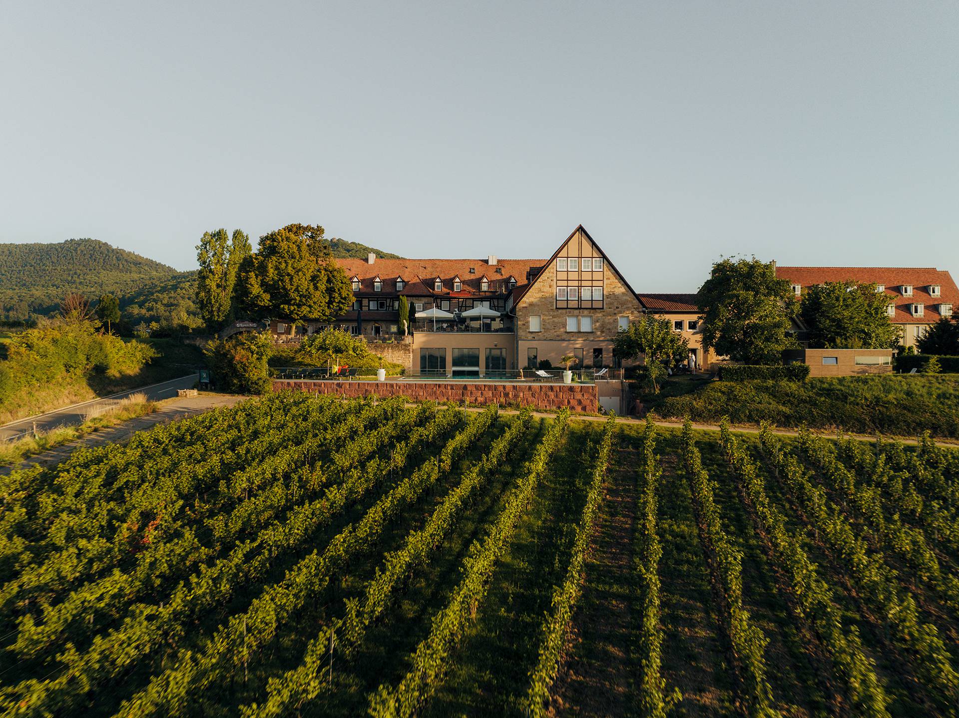 Hotel Leinsweiler Hof in the Palatinate