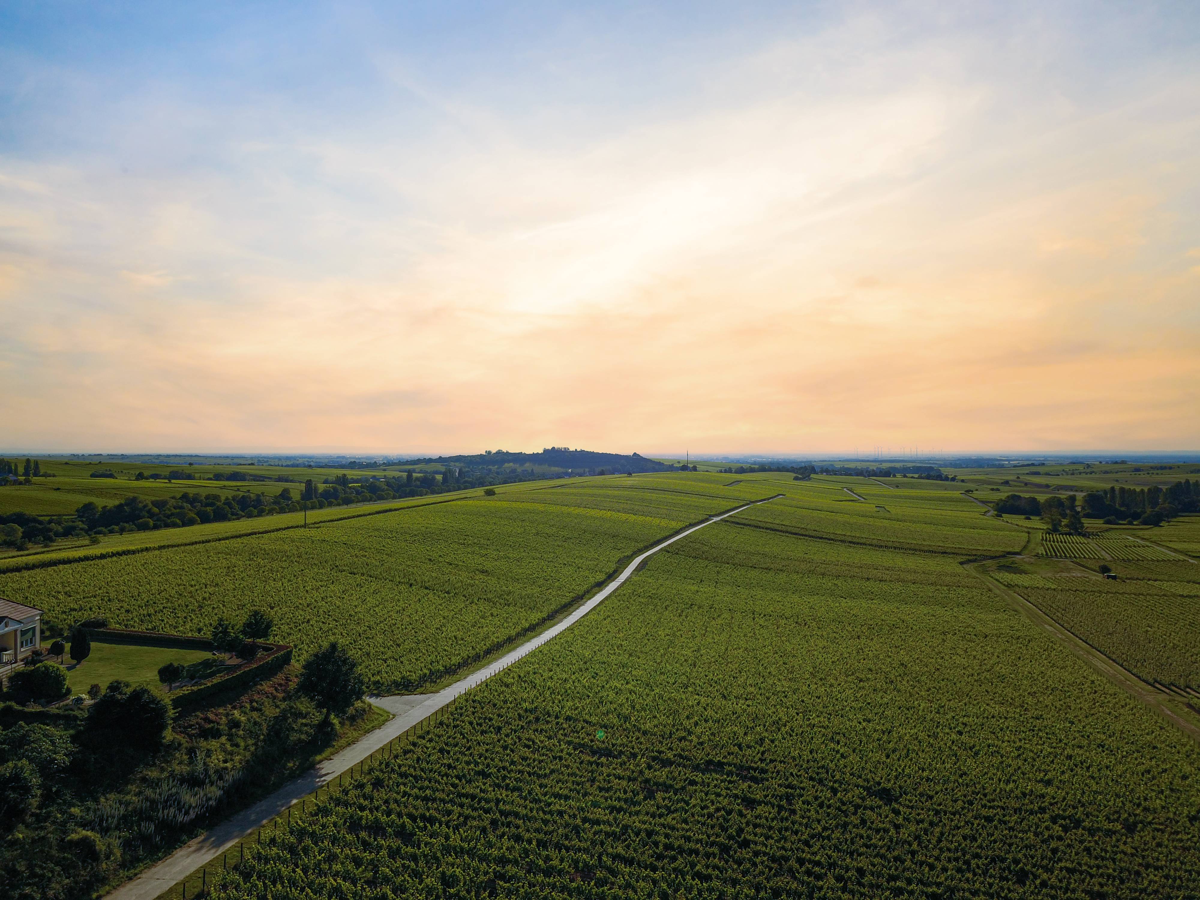 The Palatinate at Leinsweiler Hof panorama